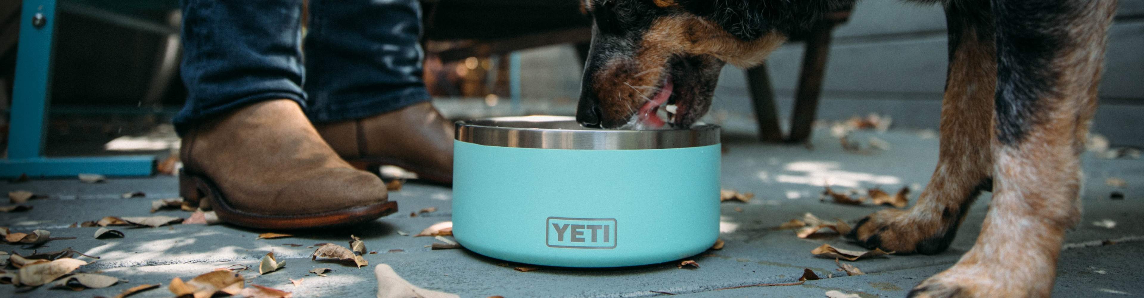 Yeti dog sales