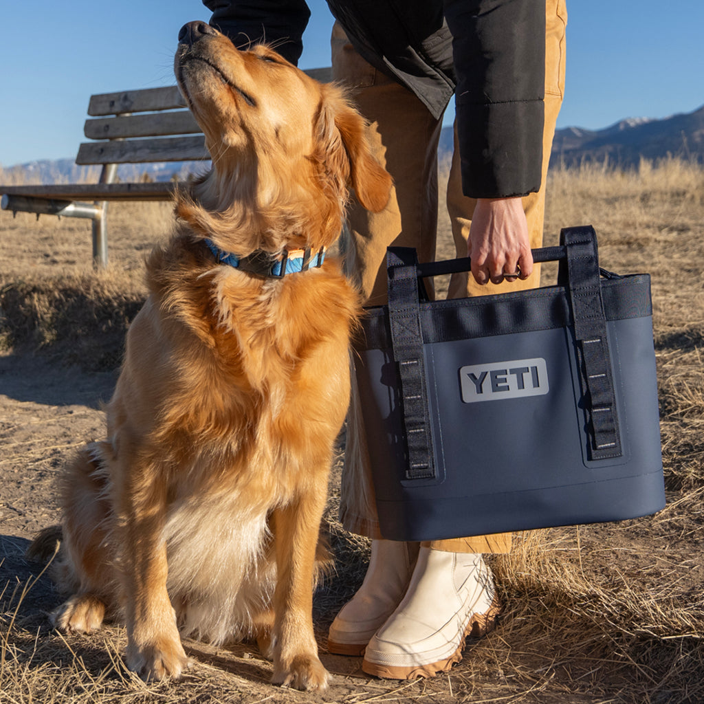 Person holding a YETI bag with a dog in a field