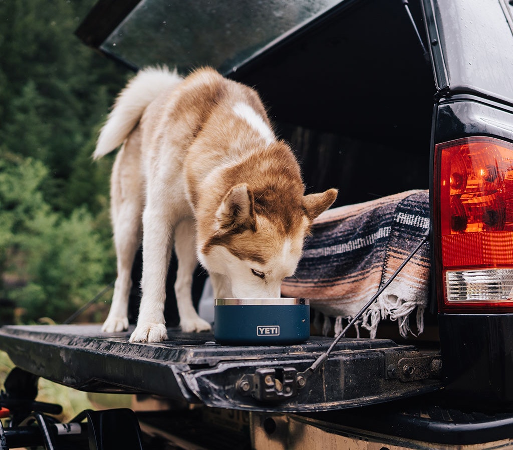 YETI Boomer™ 4 Dog Bowl – YETI UK LIMITED