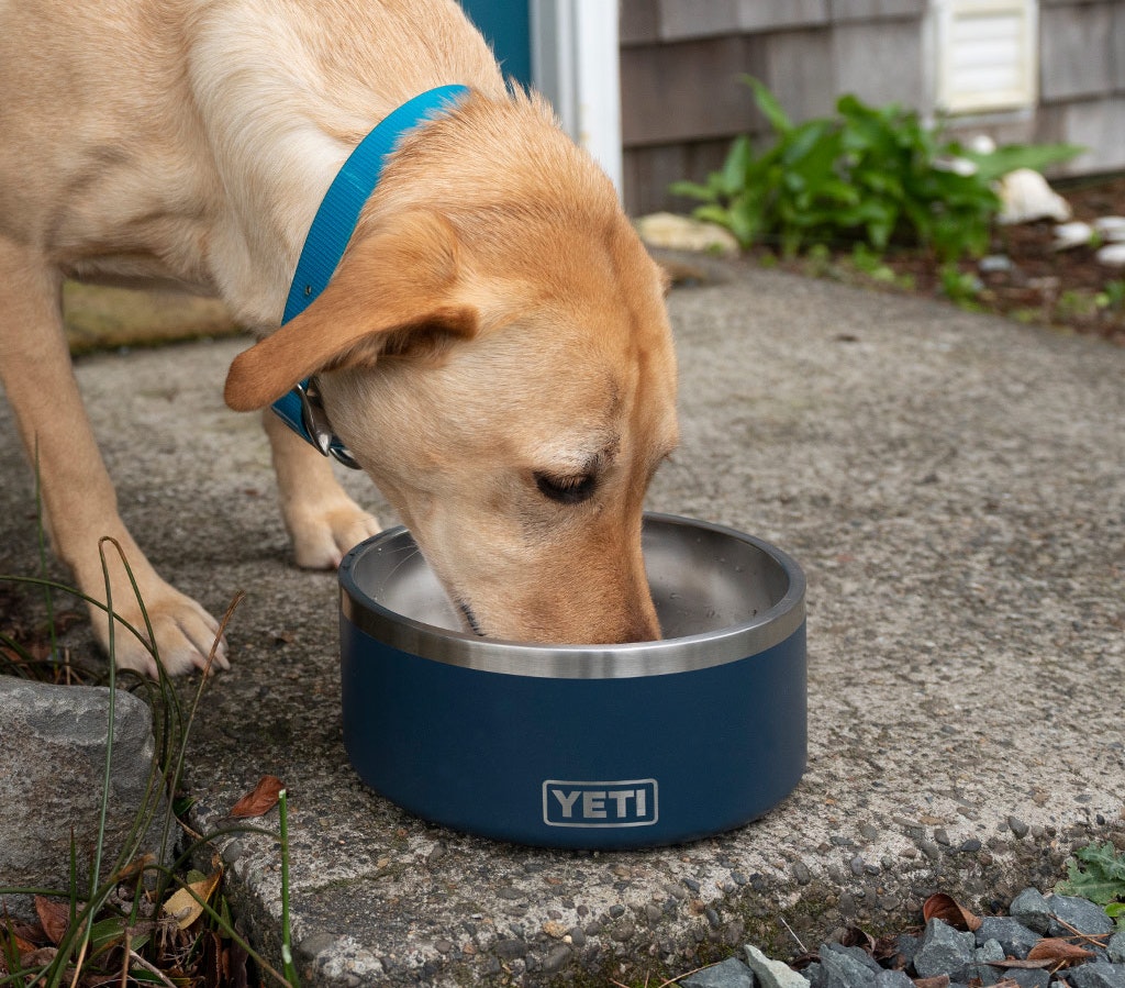 Yeti dog products new arrivals