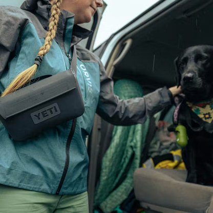 Person with a YETI dry bag interacting with a dog near an open car trunk.